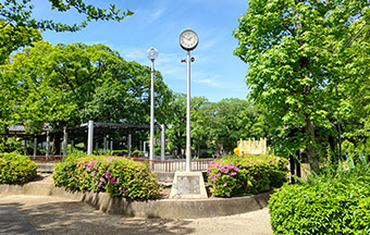 稲荷山公園